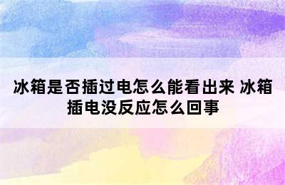 冰箱是否插过电怎么能看出来 冰箱插电没反应怎么回事